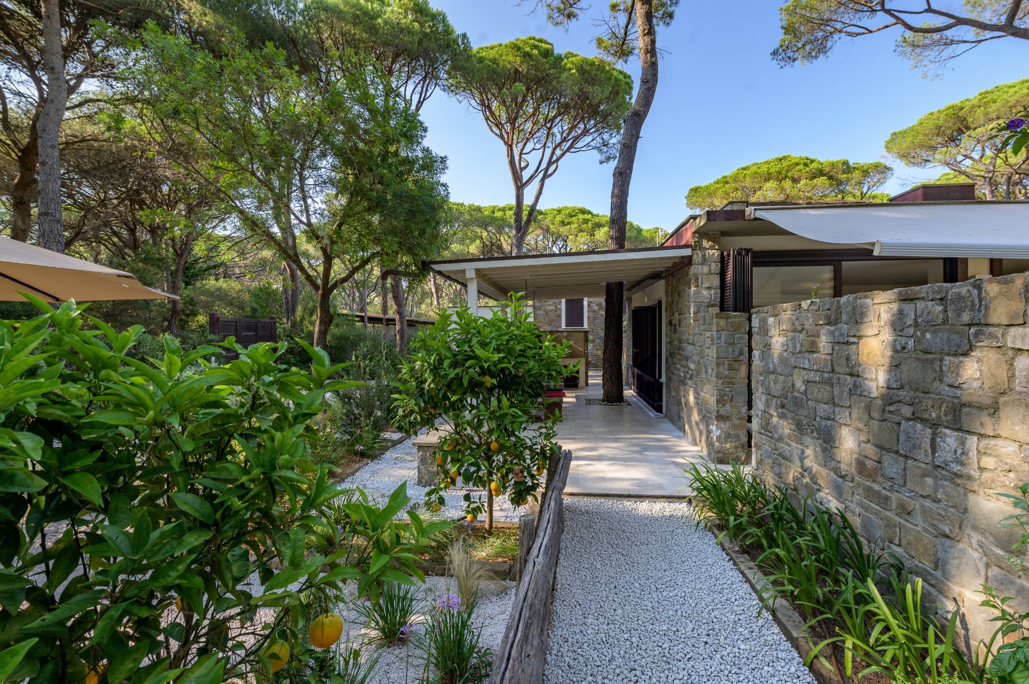 Exterior Golden Hour